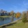 a pond with grass and trees by it and buildings in the background