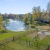a pond surrounded by grass and trees and a dog park